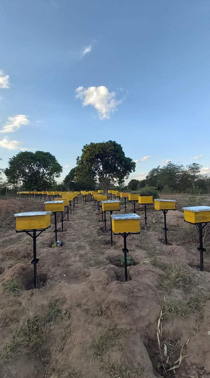Community Apiary Setup and Management Lab