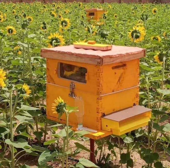 Pollination Services