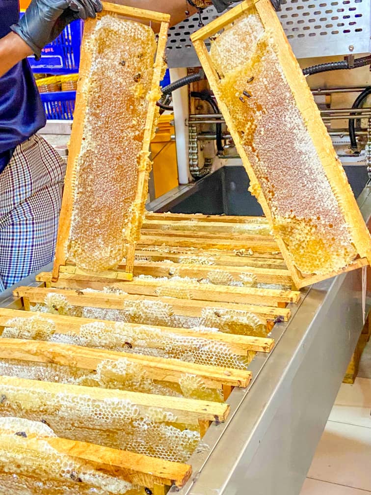 Honey extraction workflow in the processing environment.
