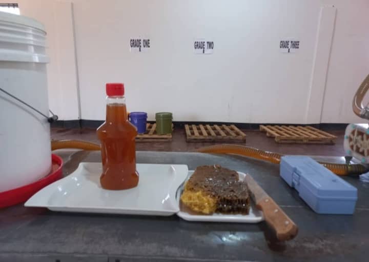 Honey Processing & Value Addition