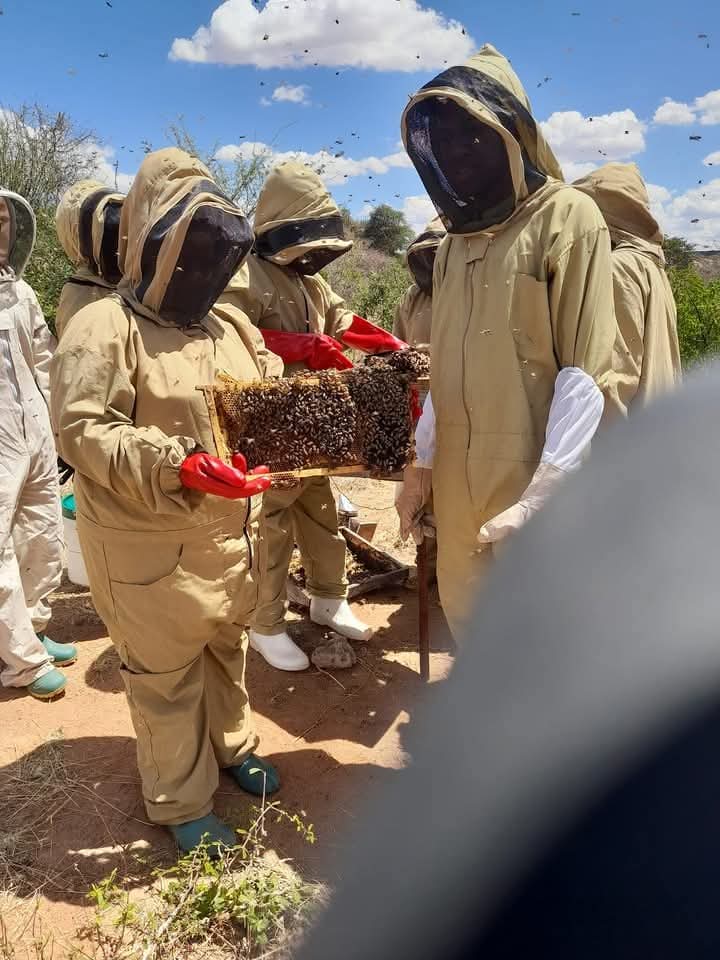 Field-based beekeeping sessions are improving apiary confidence for new entrants